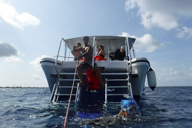 Double Dip Snorkel Trip - What you may see at Klein Bonaire