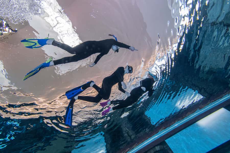 Dubai: Snorkeling at Deep Dive World's Deepest Pool - The one-hour session, from arrival to the water
