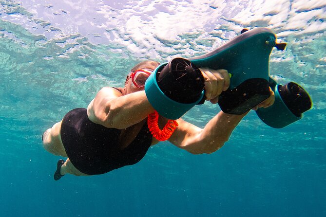 E-Snorkeling tour in Bonaire with easy Sea Scooters - What the guides add to the experience