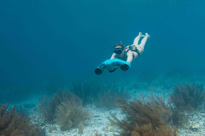 E-Snorkeling tour in Bonaire with easy Sea Scooters - Who will enjoy this tour most