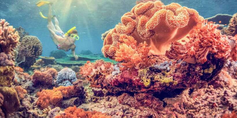 East Bali: Snorkeling Day Trip to Amed - Amed’s reef begins almost at the shoreline