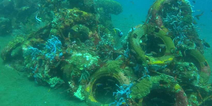 East Bali: Snorkeling Day Trip to Amed - Two and a half hours among reef fish and coral