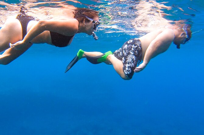 Eco-Raft Tour: Maui-Lanai Snorkel / Dolphin Watch (Semi-Private) - What happens at the snorkel stops