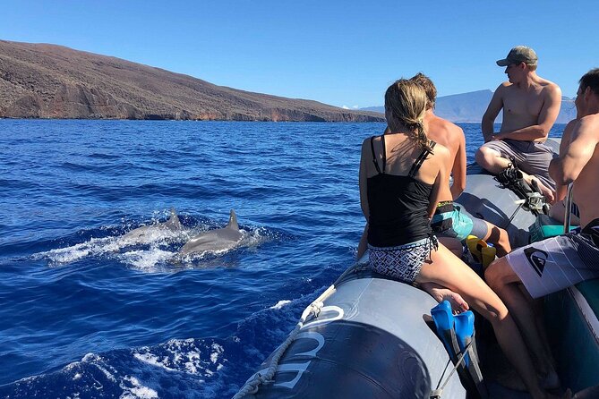 Eco-Raft Tour: Maui-Lanai Snorkel / Dolphin Watch (Semi-Private) - Motion, safety, and who should skip it