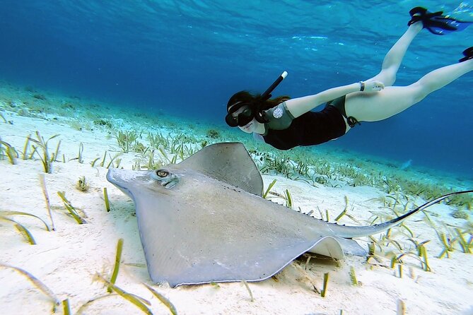 El Cielo Cozumel Snorkeling tour by Private Boat - Why El Cielo makes this four-hour trip special