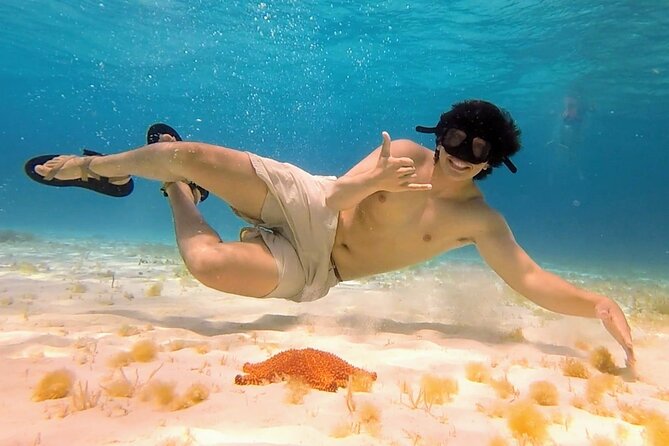El Cielo Cozumel Snorkeling tour by Private Boat - The $789 price and what it buys you