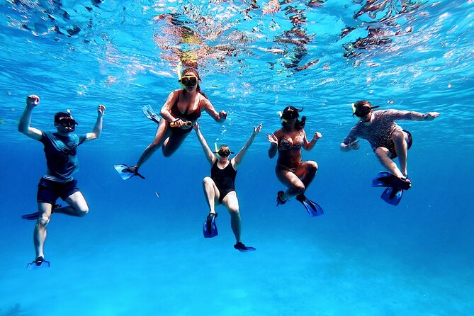 El Cielo Cozumel Snorkeling tour by Private Boat - Cruise-port planning and weather concerns