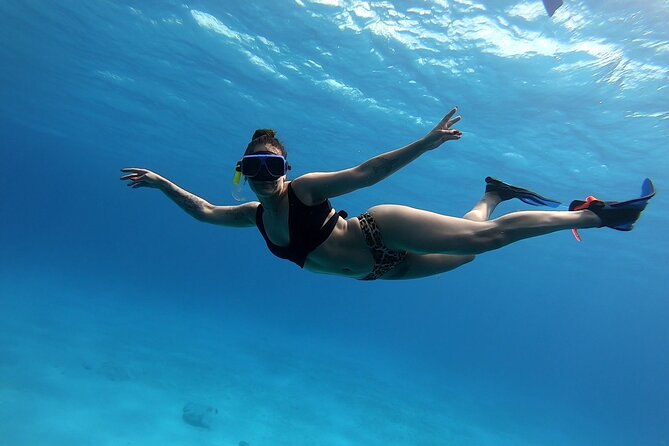 El Cielo Cozumel Snorkeling tour by Private Boat - Palancar and Columbia: the reef portion