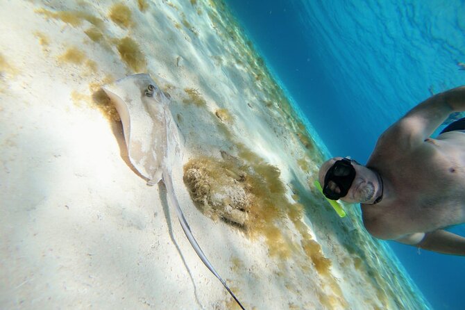 El Cielo Cozumel Snorkeling trip by Catamaran - Food, drinks, and the floating snack service