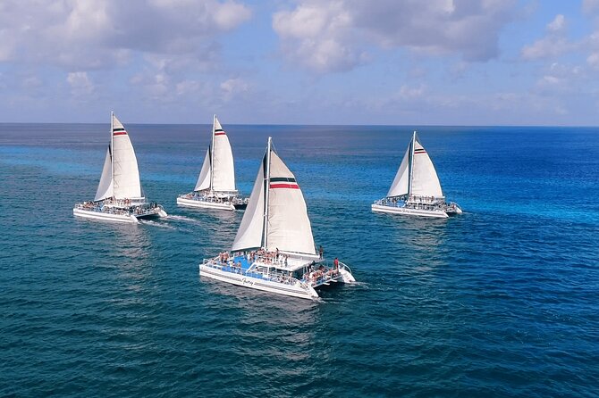 El Cielo, Palancar Snorkel & Beach Party Experience - How much value do you get for $89?