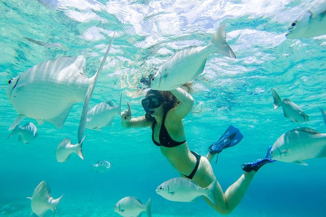 El Cielo Snorkel by Private Boat - The ride south along Cozumel’s coast