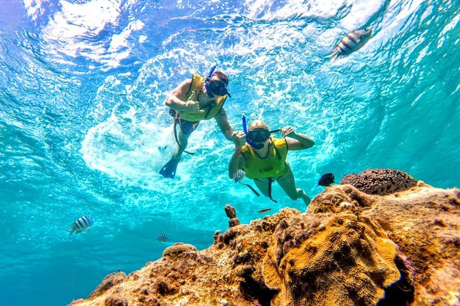 El Cielo Snorkel by Private Boat - The El Cielo question: what you may and may not see