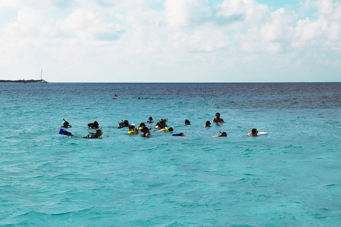 El Cielo Snorkel by Private Boat - Ceviche, fruit, margaritas, and lunch on the water