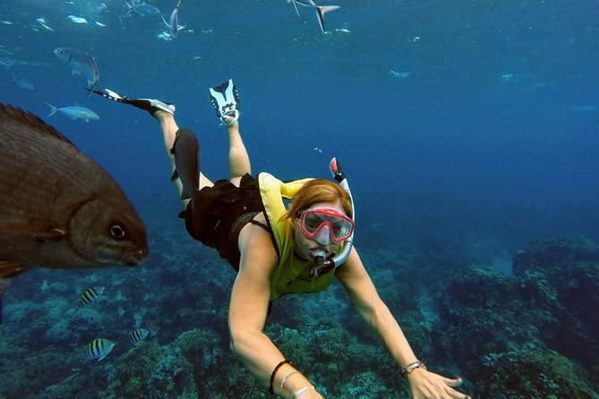 El Cielo Snorkel by Private Boat - What the crew adds to the day