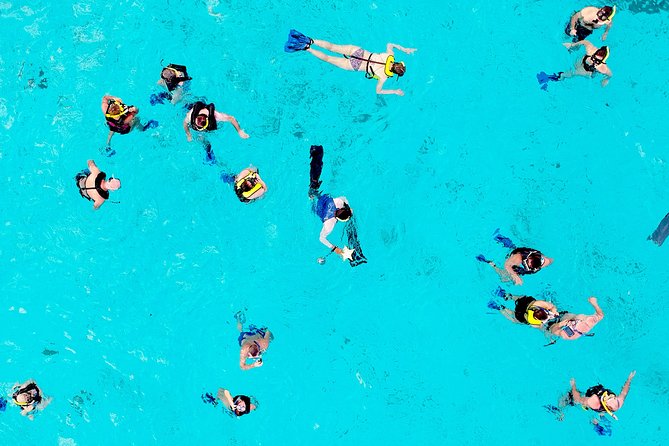 El Cielo Snorkel by Private Boat - Price, timing, and who gets the best value