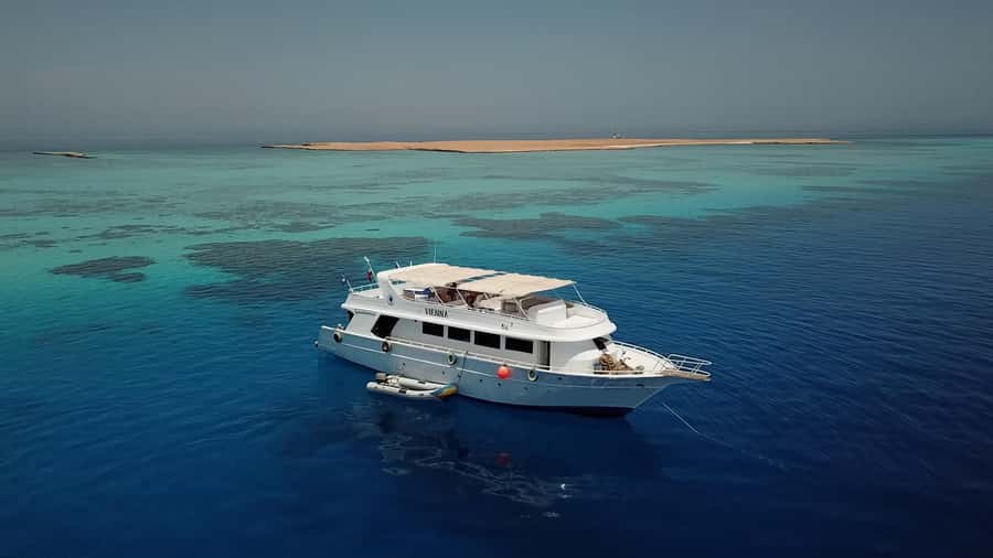 El Gouna: Red Sea Snorkeling Adventure with Transfers - First reef: your main underwater introduction