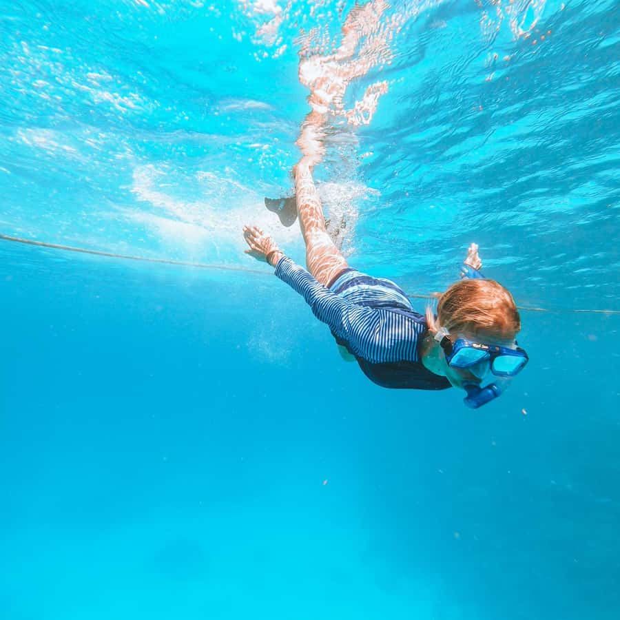 El Gouna: Red Sea Snorkeling Adventure with Transfers - From your El Gouna hotel to the marina
