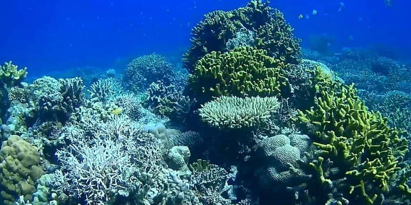 El Nido, Sibaltan: Private Snorkeling & Secret Islands Tour - What the boat schedule feels like