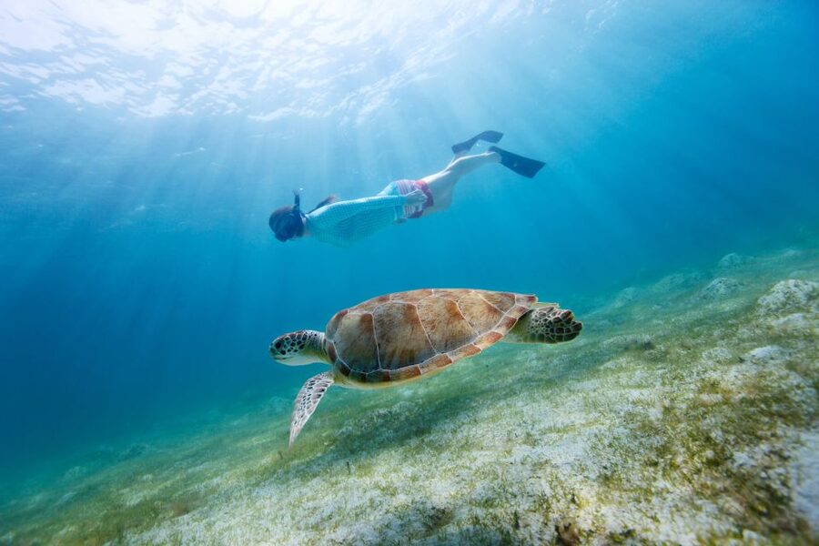 Emerald Coast: Afternoon Snorkel & Dolphin Tour - What the snorkeling stop is really like