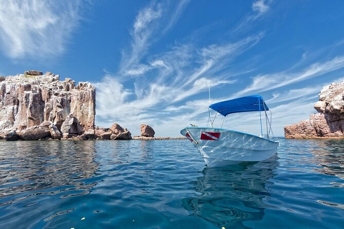 Espiritu Santo Island Snorkel & Sea Lion Adventure - Key points to know before booking