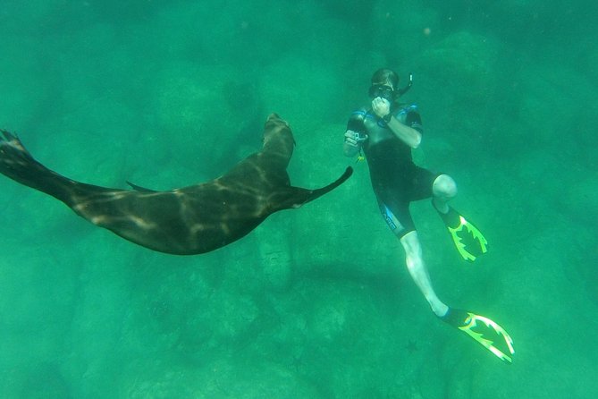 Espiritu Santo Island Snorkel & Sea Lion Adventure - Ensenada Grande brings a slower second act