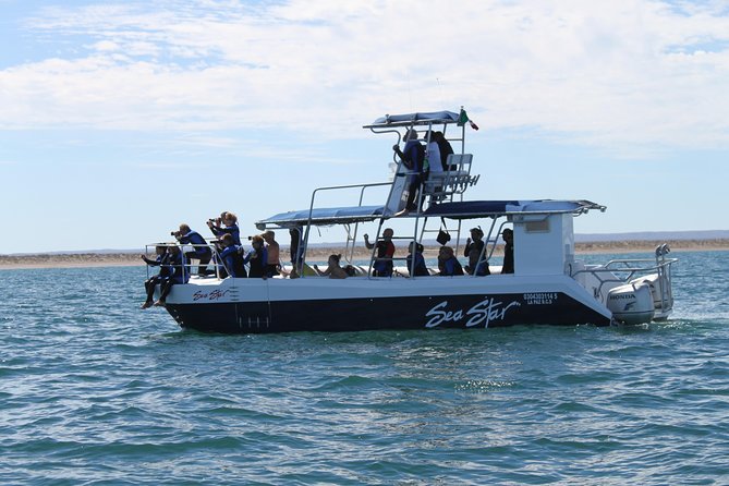 Espiritu Santo Island Snorkel & Sea Lion Adventure - The ride home may include Balandra and bonus wildlife