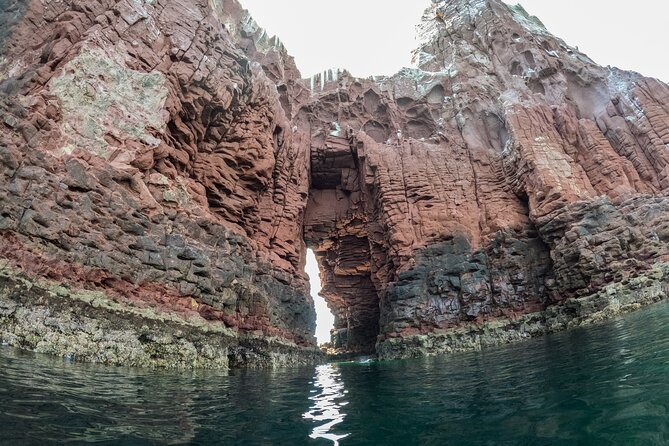 Espiritu Santo Island Snorkel & Sea Lion Adventure - Who will get the most from this excursion
