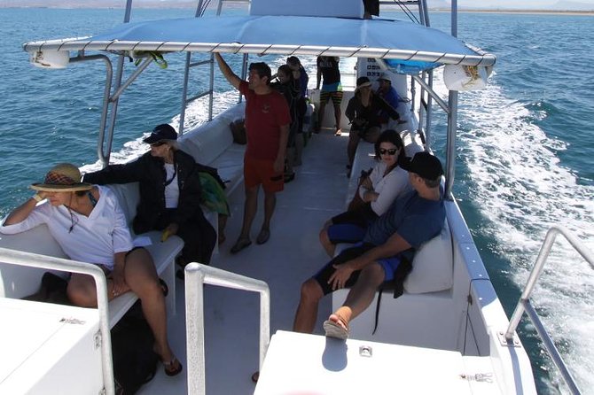 Espiritu Santo Island Snorkel & Sea Lion Adventure - Booking details and cancellation points