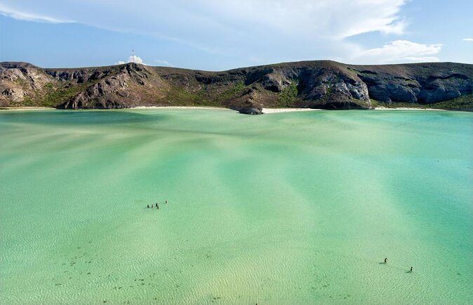 Espíritu Santo Island: snorkel SEA LIONS and Balandra Small Group - Key points to know before booking