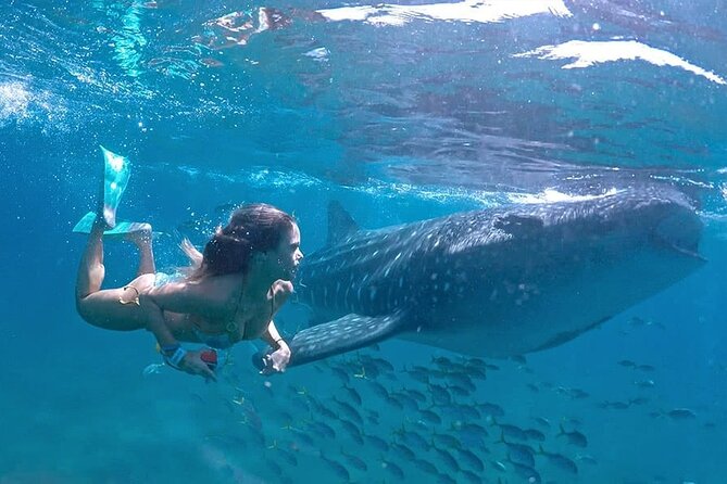 Espíritu Santo Island: snorkel SEA LIONS and Balandra Small Group - What the route really includes