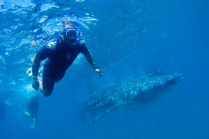 Espíritu Santo Island: snorkel SEA LIONS and Balandra Small Group - Guides, English service, and the value of interpretation