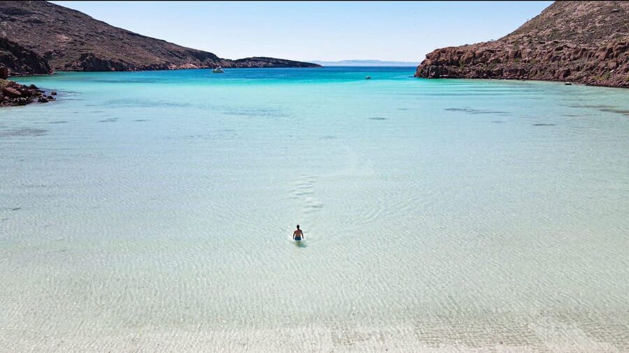Espiritu Santo Island: Snorkeling Sea Lion Adventure - Who should book this Espíritu Santo tour?
