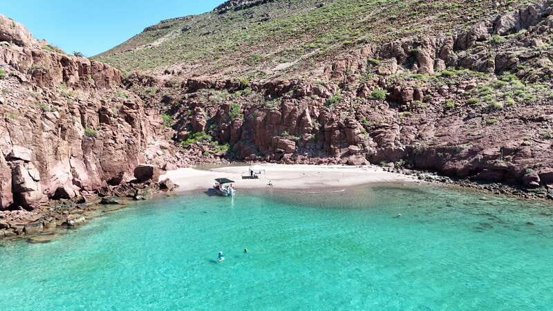 Espiritu Santo Island: Snorkeling Sea Lion Adventure - What to pack for this six-hour outing