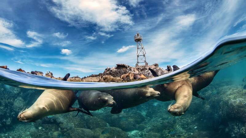 Espiritu Santo Island: Snorkeling Sea Lion Adventure - The boat ride from La Paz to Espíritu Santo