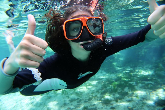 Exclusive Small Group VIP Heated Manatee Snorkel Tour - Why the six-person boat is worth considering