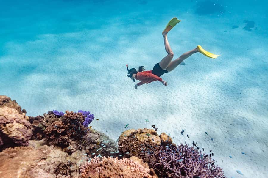 Exmouth: Guided Ningaloo Reef Snorkel Adventure - Starting from Exmouth before the heat builds
