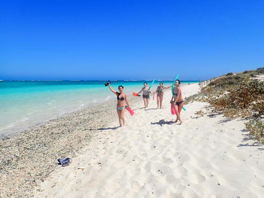 Exmouth: Guided Ningaloo Reef Snorkel Adventure - Choosing between Oyster Stacks and Lakeside