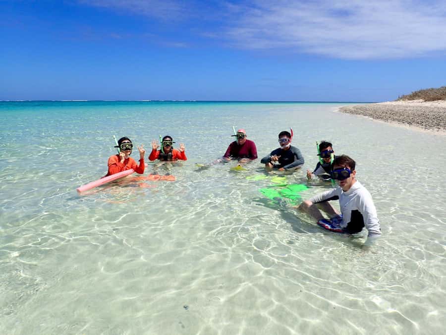Exmouth: Guided Ningaloo Reef Snorkel Adventure - What the guide adds to the snorkelling