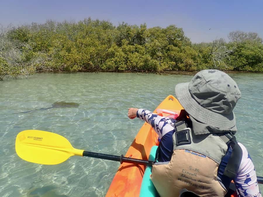 Exmouth: Half Day Turtle Kayak & Snorkel Tour - Why a kayak is a smart way to see Ningaloo Reef