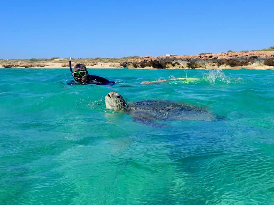 Exmouth: Half Day Turtle Kayak & Snorkel Tour - Pickup in Exmouth and the short ride to the coast