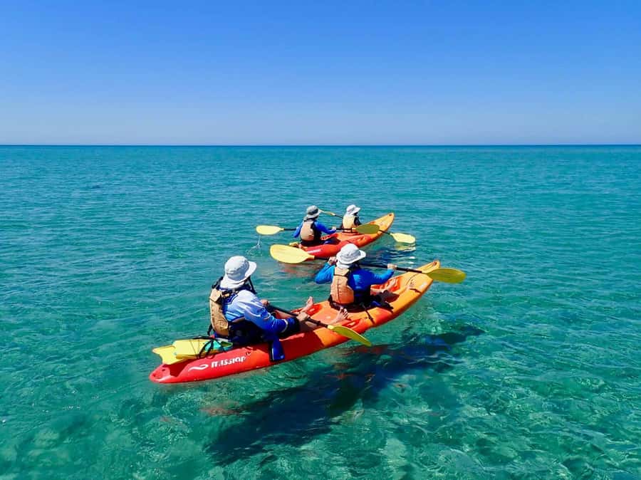 Exmouth: Half Day Turtle Kayak & Snorkel Tour - Three hours among turtles, rays and coral gardens