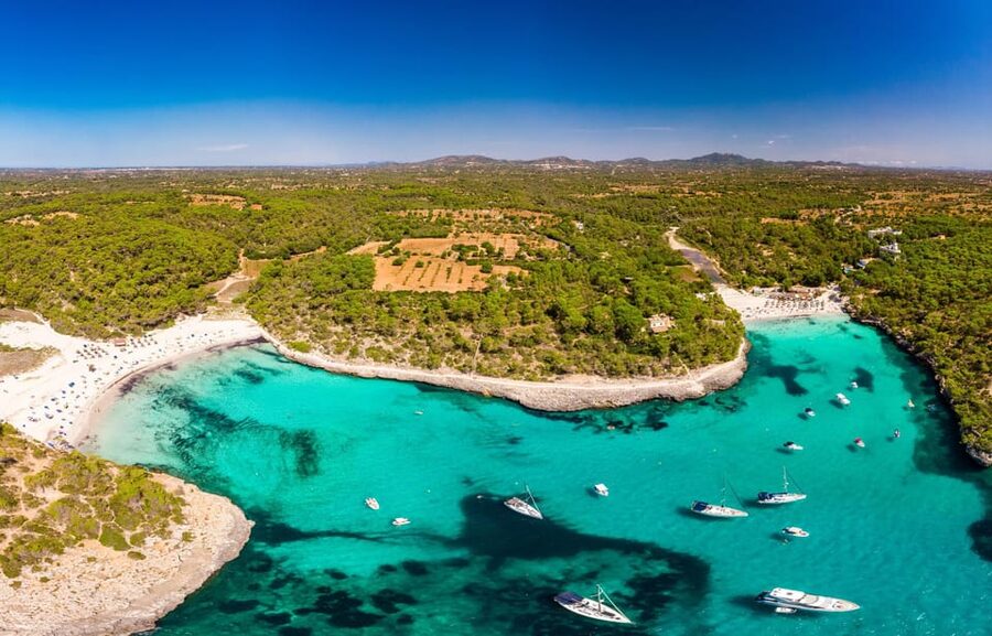 Experinence in Mondrago /S'amarador / Trencada Snorkel y SUP - Pickup by van from Palma and the resort coast