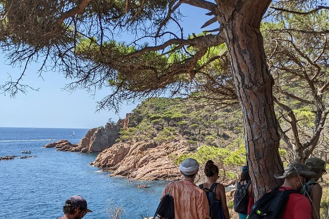 Explore Costa Brava & Tossa de Mar Coastal Trails, Snorkel & Meal - San Pol Beach and Cala Sa Conca
