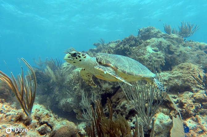Fajardo Afternoon Snorkeling Adventure Tour - The ride from Fajardo to the offshore cays