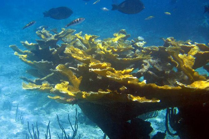 Fajardo Afternoon Snorkeling Adventure Tour - The beach stop changes the pace