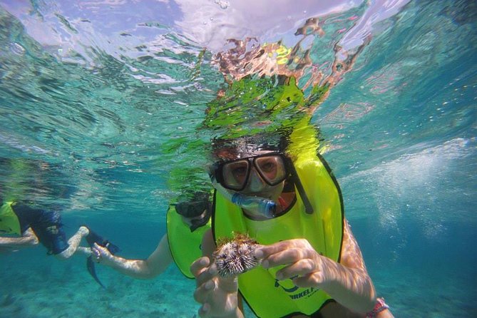 Fajardo Afternoon Snorkeling Adventure Tour - Snorkeling in 15 to 20 feet of water