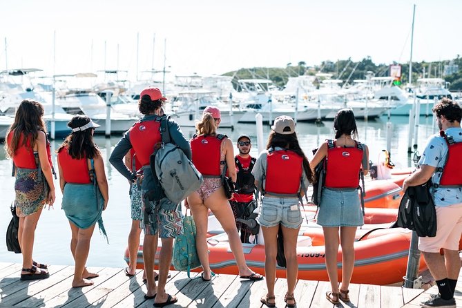Fajardo Mini Boat Snorkel Safari - Weather, cancellations, and timing