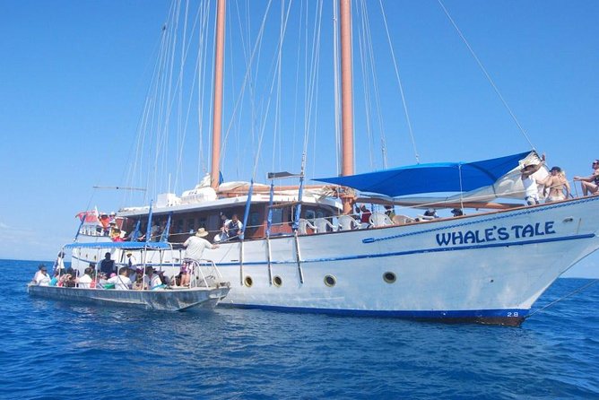 Fijian Islands and Snorkel Full-Day Whales Tale Cruise including Beach BBQ Lunch - Sailing from Nadi toward the Mamanucas
