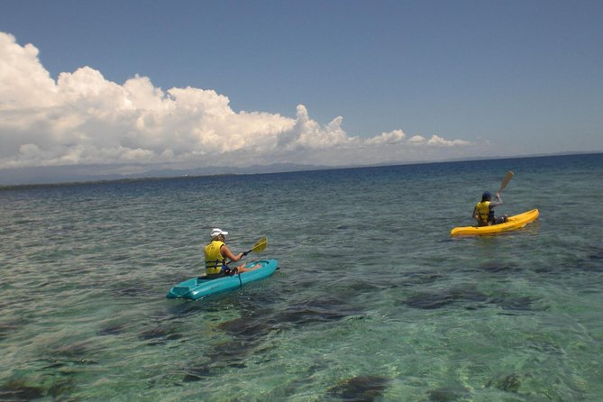 Fijian Islands and Snorkel Full-Day Whales Tale Cruise including Beach BBQ Lunch - Who will enjoy this seven-hour cruise