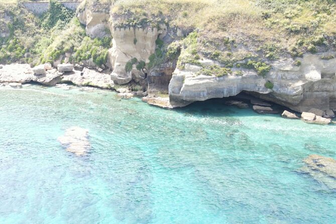 Fishing, Snorkelling & Dolphin Boat Tour - Leaving from Gdf Vibo Marina